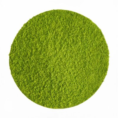 Japan Ceremonial Matcha "Hisui" Bio 50g